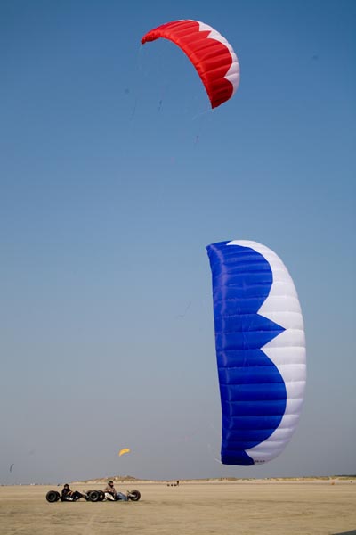 spo-008