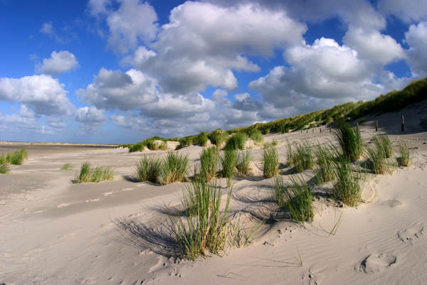 terschelling19